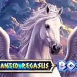 Enchanted Pegasus Boom